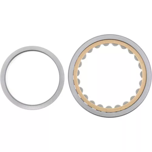 005.06.2983 Dana Spicer Off-Highway Roller Bearing