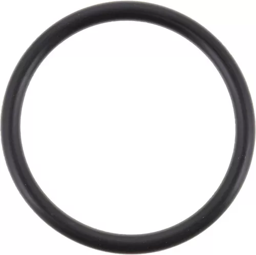 078931 Eaton Spicer OutputShaft O-Ring 461