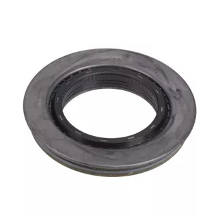 100557 National Meritor Pinion Seal