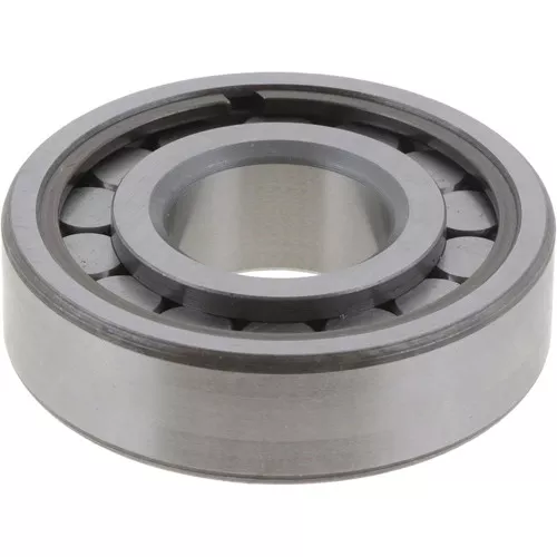 111437 Dana Spicer Off-Highway Bearing