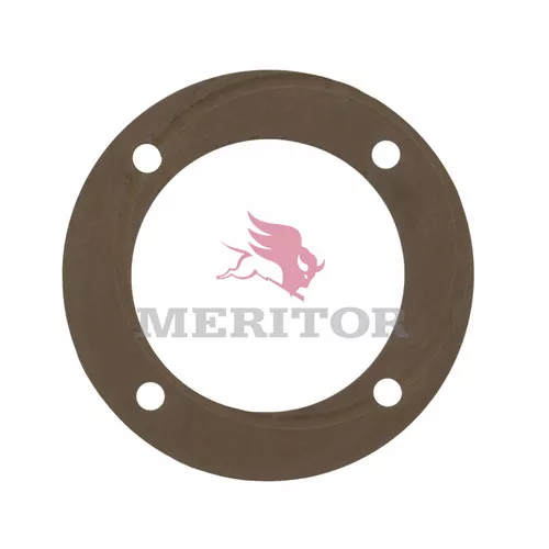1229Z3172 Rockwell Meritor Thrust Washer RS Series