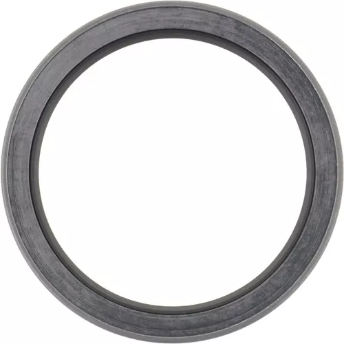 123779 Dana Spicer Off-Highway Oil Seal