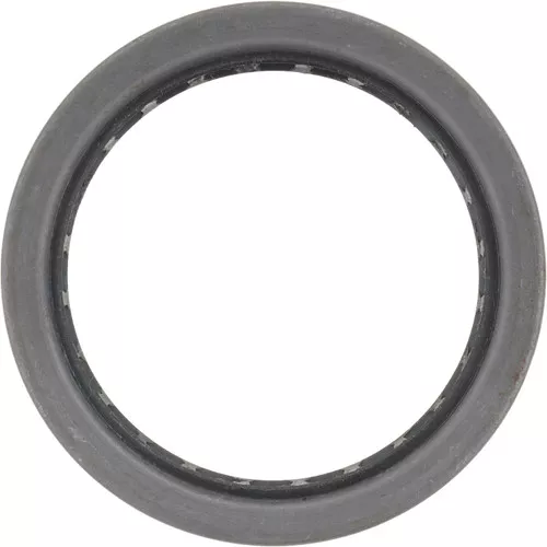 124234 Dana Spicer Off-Highway Oil Seal