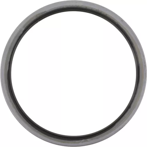 128943 Dana Spicer Off-Highway Seal-Trunn Supp