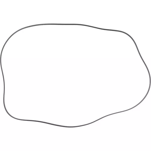 2106603 Dana Spicer Off-Highway Ring-Seal