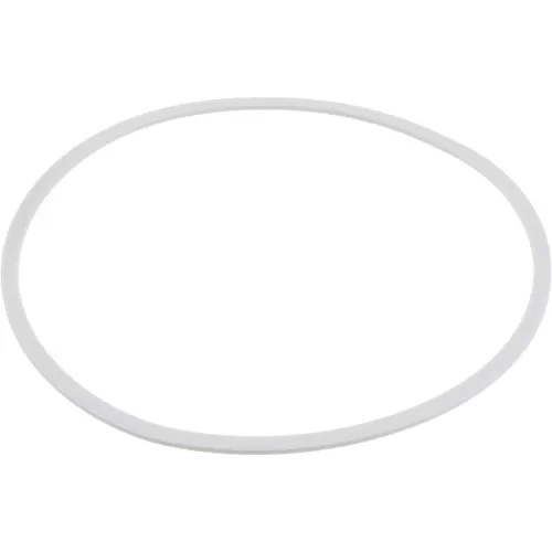 2110729 Dana Spicer Off-Highway Ring-Back Up