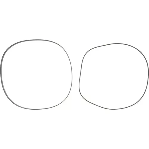 2111774 Dana Spicer Off-Highway A Piston Seal