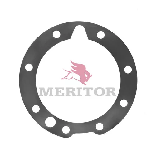 2203D8116 Rockwell Meritor Shim QR100 .005"