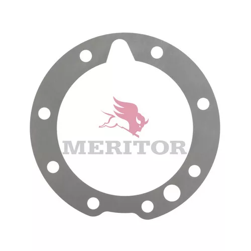 2203E8117 Rockwell Meritor Shim QR100 .010"