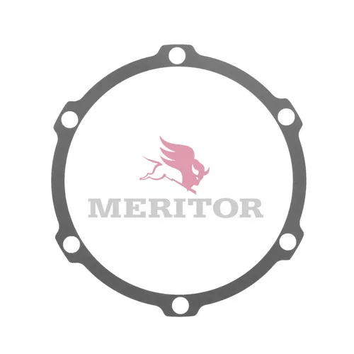2203R3008 Rockwell Meritor Shim