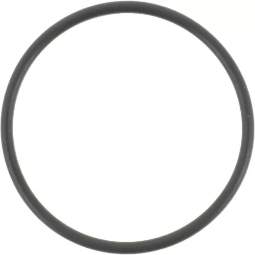 251255 Dana Spicer Off-Highway O-Ring