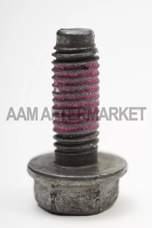 40002169 Cover Pan Bolt 8.6