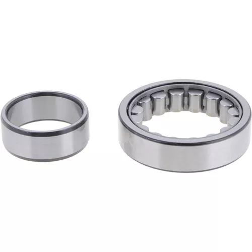 4205153 Dana Spicer Off-Highway Bearing