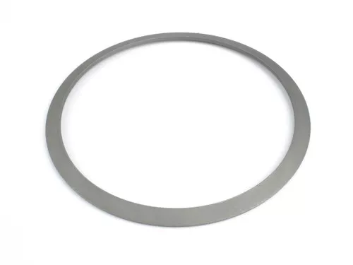 4207467 Dana Spicer Off-Highway Disc Spring