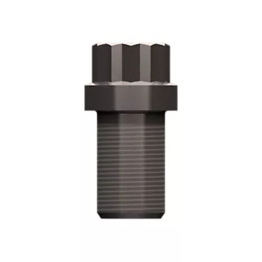 5P1737 CAT 12 Point Bolt
