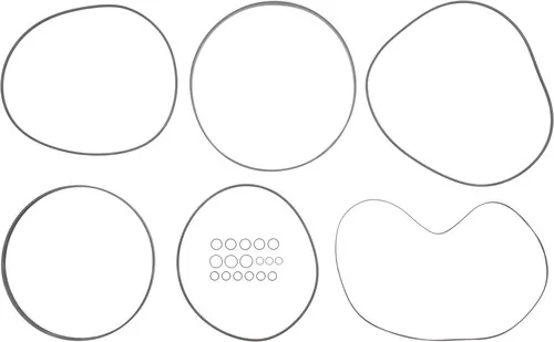 816302 Dana Spicer Off-Highway Brake Seal Kit