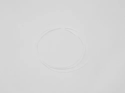 9400116 Dana Spicer Off-Highway O-Ring,Back-Up (252-264-1670)