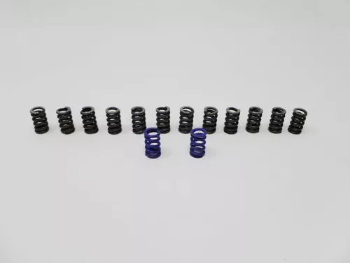 AMFBH03B3 Dana Spicer Off-Highway A/M Spring Kit