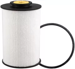 Baldwin Filters F953-F Felt Fuel Element with Bail Handle