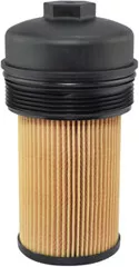 Baldwin Filters P7436 Lube Element with Lid