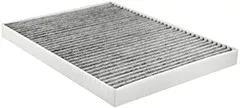 Baldwin Filters PA10002 Cabin Air Element