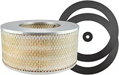 Baldwin Filters PA1619 Air Element