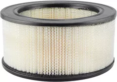 Baldwin Filters PA1719 Air Element