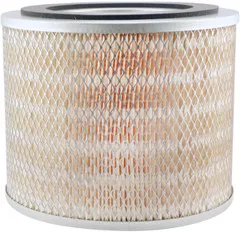 Baldwin Filters PA1867 Air Element
