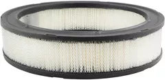 Baldwin Filters PA2007 Air Element