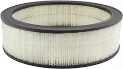 Baldwin Filters PA2008 Air Element