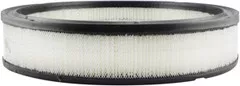 Baldwin Filters PA2009 Air Element