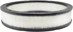 Baldwin Filters PA2010 Air Element