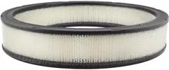 Baldwin Filters PA2024 Air Element