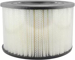 Baldwin Filters PA2042 Air Element