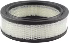 Baldwin Filters PA2050 Air Element