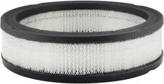 Baldwin Filters PA2063 Air Element