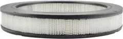Baldwin Filters PA2065 Air Element