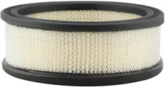 Baldwin Filters PA2069 Air Element