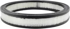 Baldwin Filters PA2074 Air Element