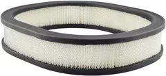 Baldwin Filters PA2076 Oblong Air Element
