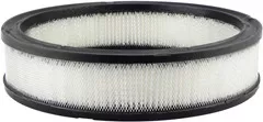 Baldwin Filters PA2077 Air Element