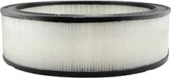 Baldwin Filters PA2079 Air Element