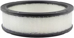 Baldwin Filters PA2106 Air Element