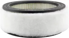 Baldwin Filters PA2107 Air Element with Foam Wrap