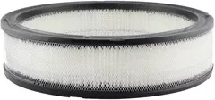 Baldwin Filters PA2113 Air Element