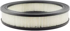 Baldwin Filters PA2114 Air Element
