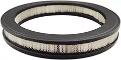 Baldwin Filters PA2124 Air Element
