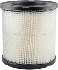 Baldwin Filters PA2136 Air Element