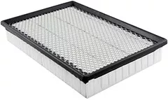 Baldwin Filters PA2152 Panel Air Element