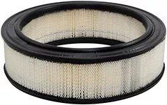 Baldwin Filters PA2154 Air Element